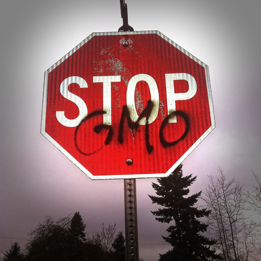 gmo-254539_1280.jpg