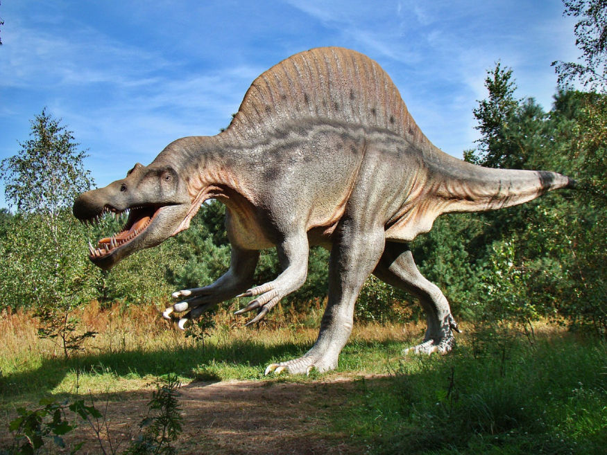dinosaur-1310676_1280.jpg
