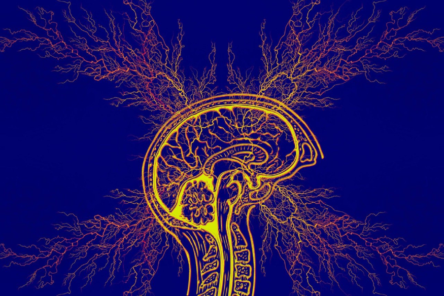 tourette-syndrome-7194132_1280.jpg