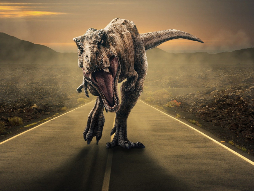 road-7570977_1280.jpg