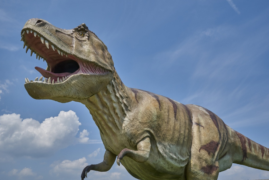 dinosaur-3414160_1280.jpg