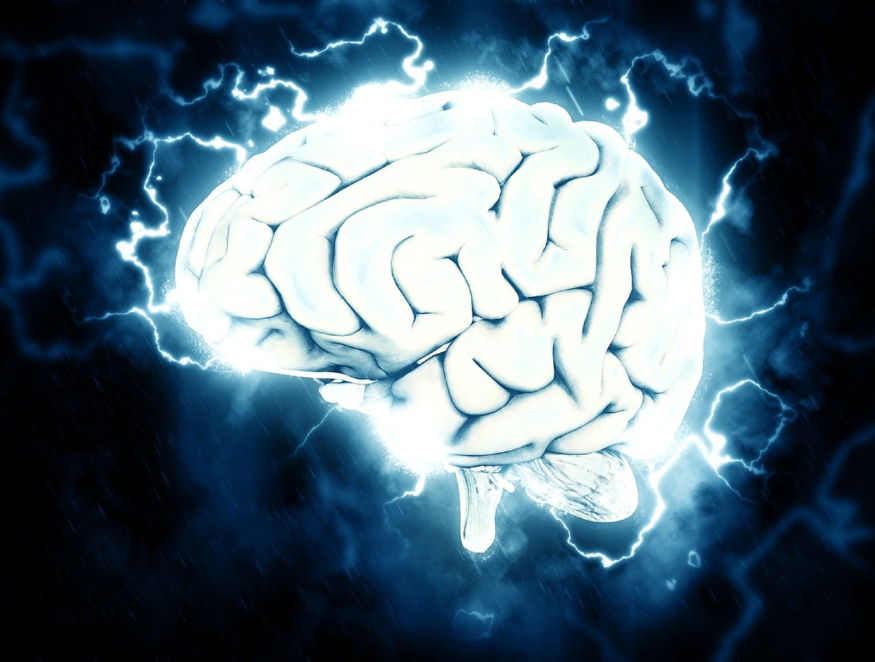 brain-1845962_1280 (1).jpg